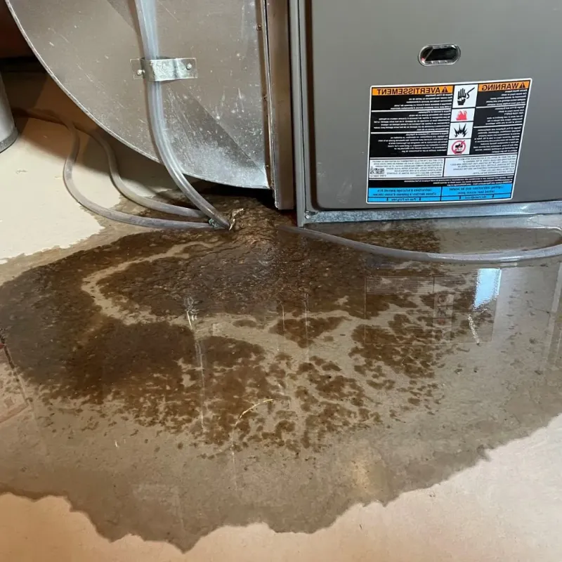 Pipe Burst and Leak Restoration in Fredericksburg, TX