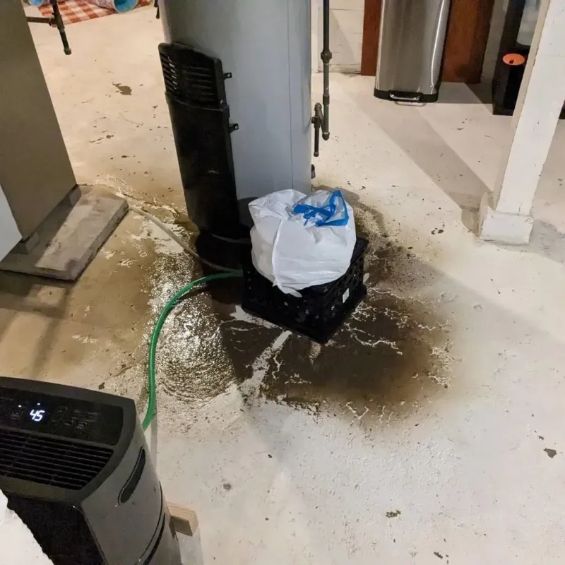 Sewage Backup Cleanup Service in Fredericksburg, TX